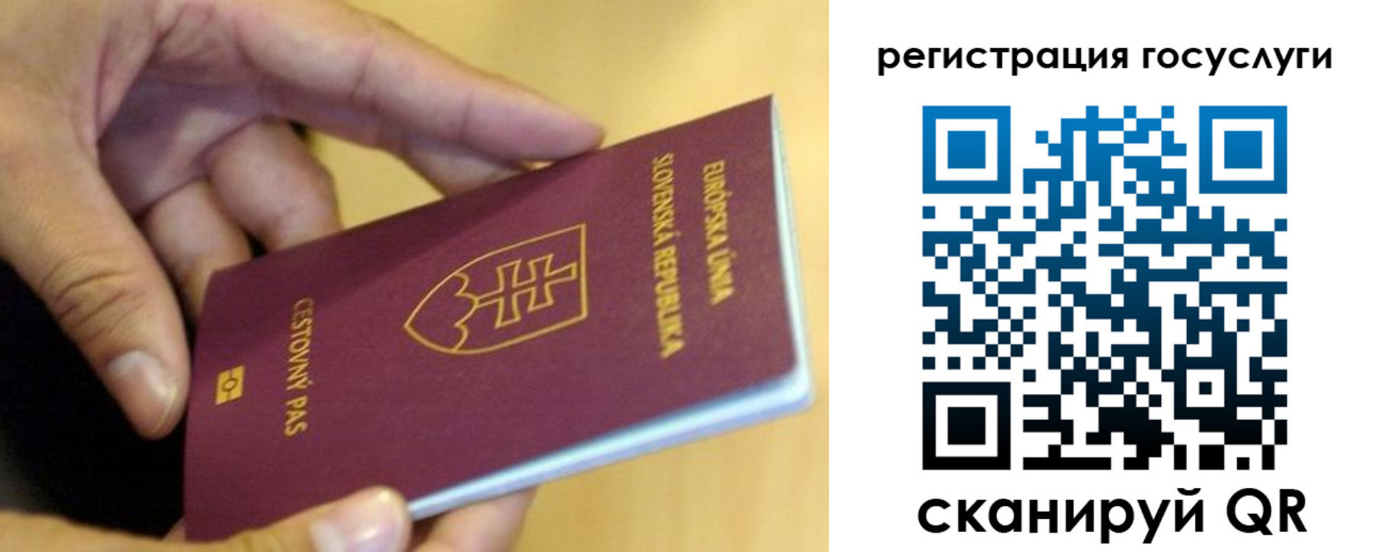 прописка регистрация в Рубцовске