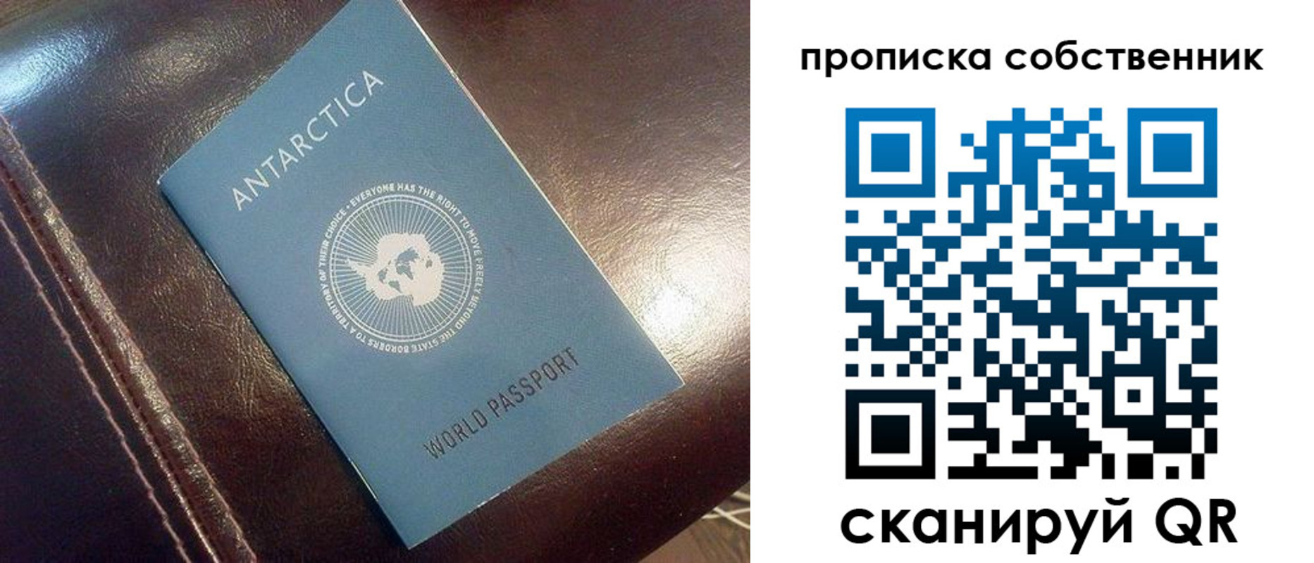 прописка поиск в Рубцовске